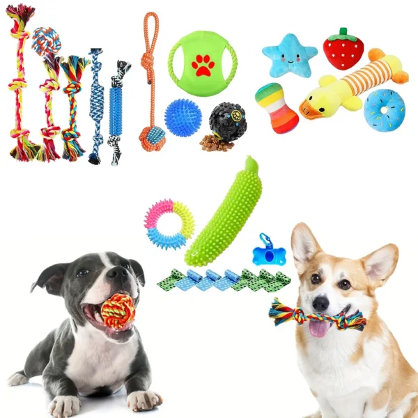 Puppy Chew Toy Set