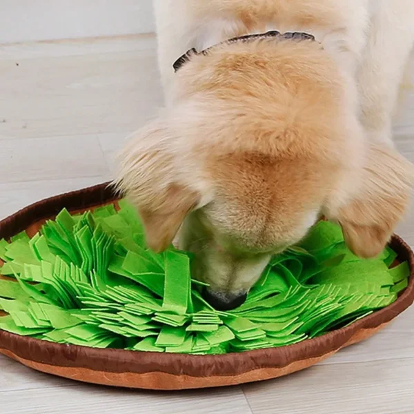Felt Sniffing Mat Toy