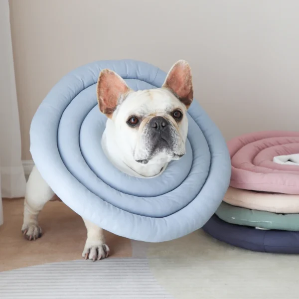 Adjustable Pet Recovery Collar