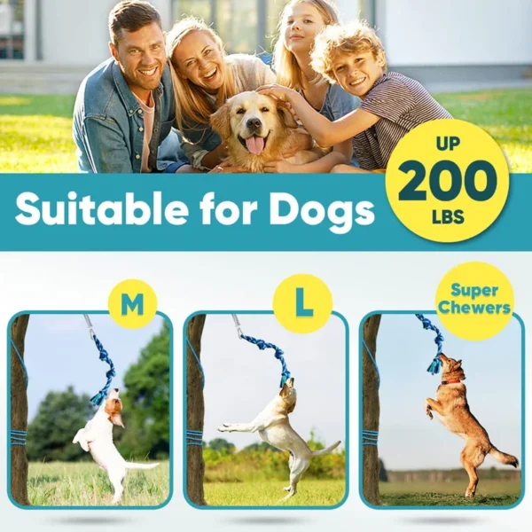 Benepaw Bungee Tug Toy