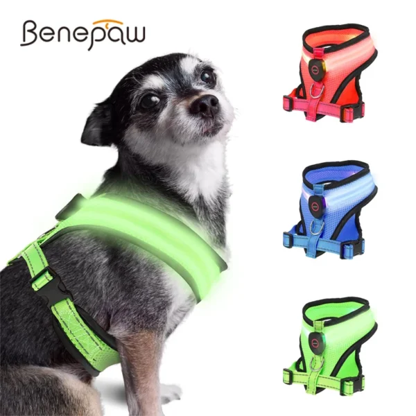 Benepaw LED Dog Harness